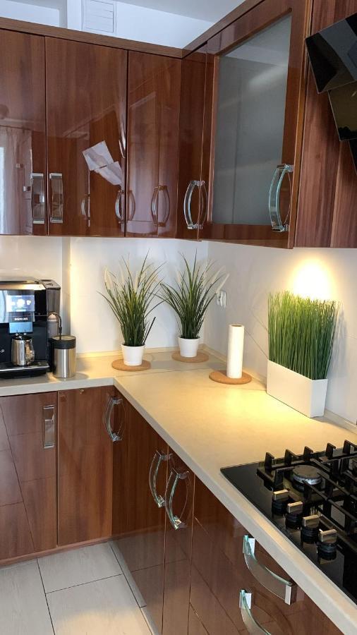 Stary Toruń Golden Apartament Legionow מראה חיצוני תמונה